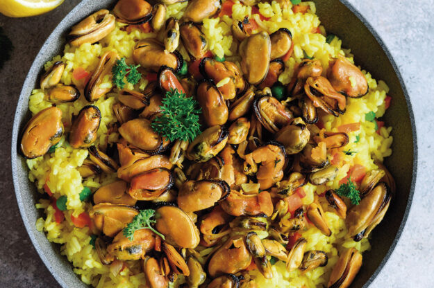 kit paella_